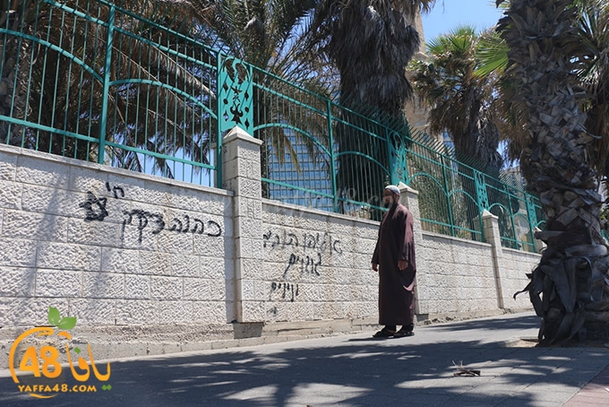 abo 3ajwa ja (2).JPG